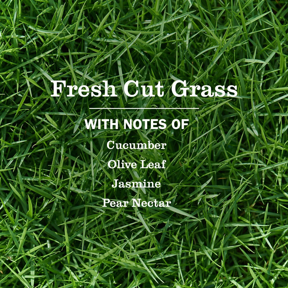 Plug-In Oil Warmer With Refill - Fresh Grass