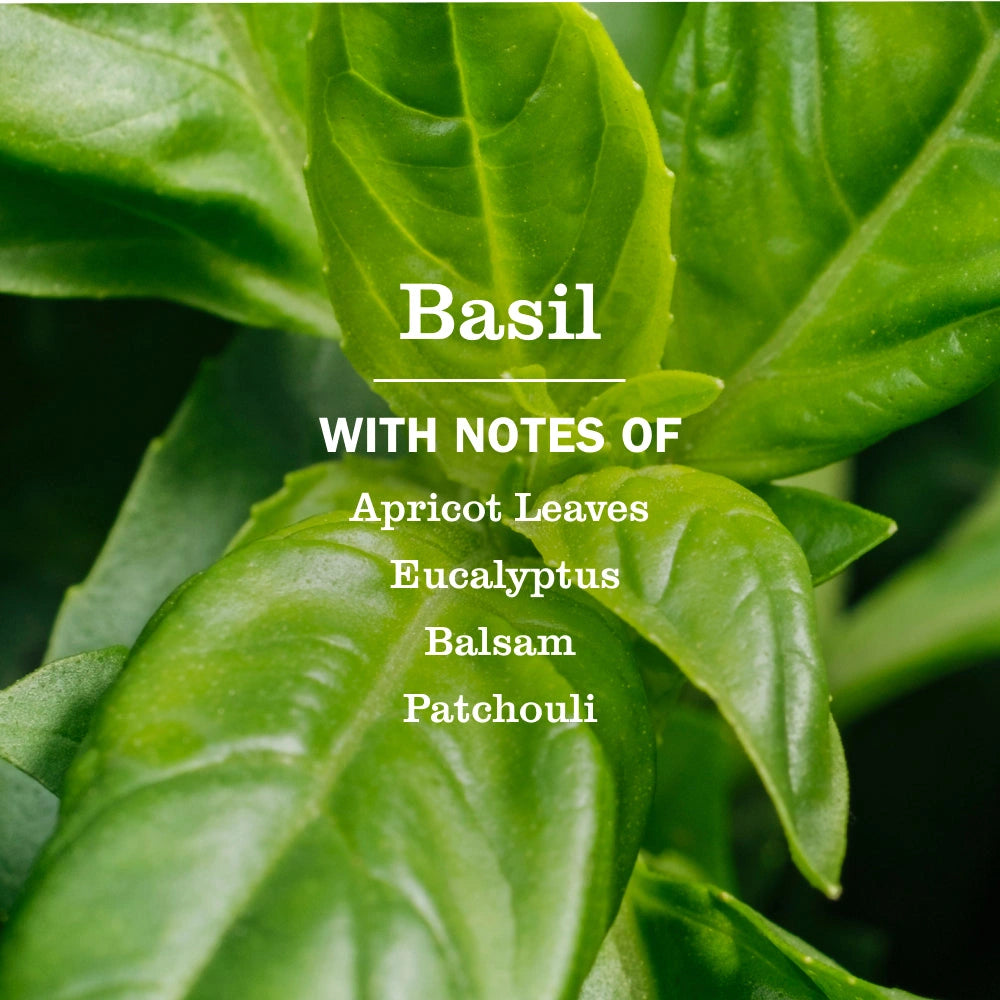 Multi-Surface Cleaner - Basil