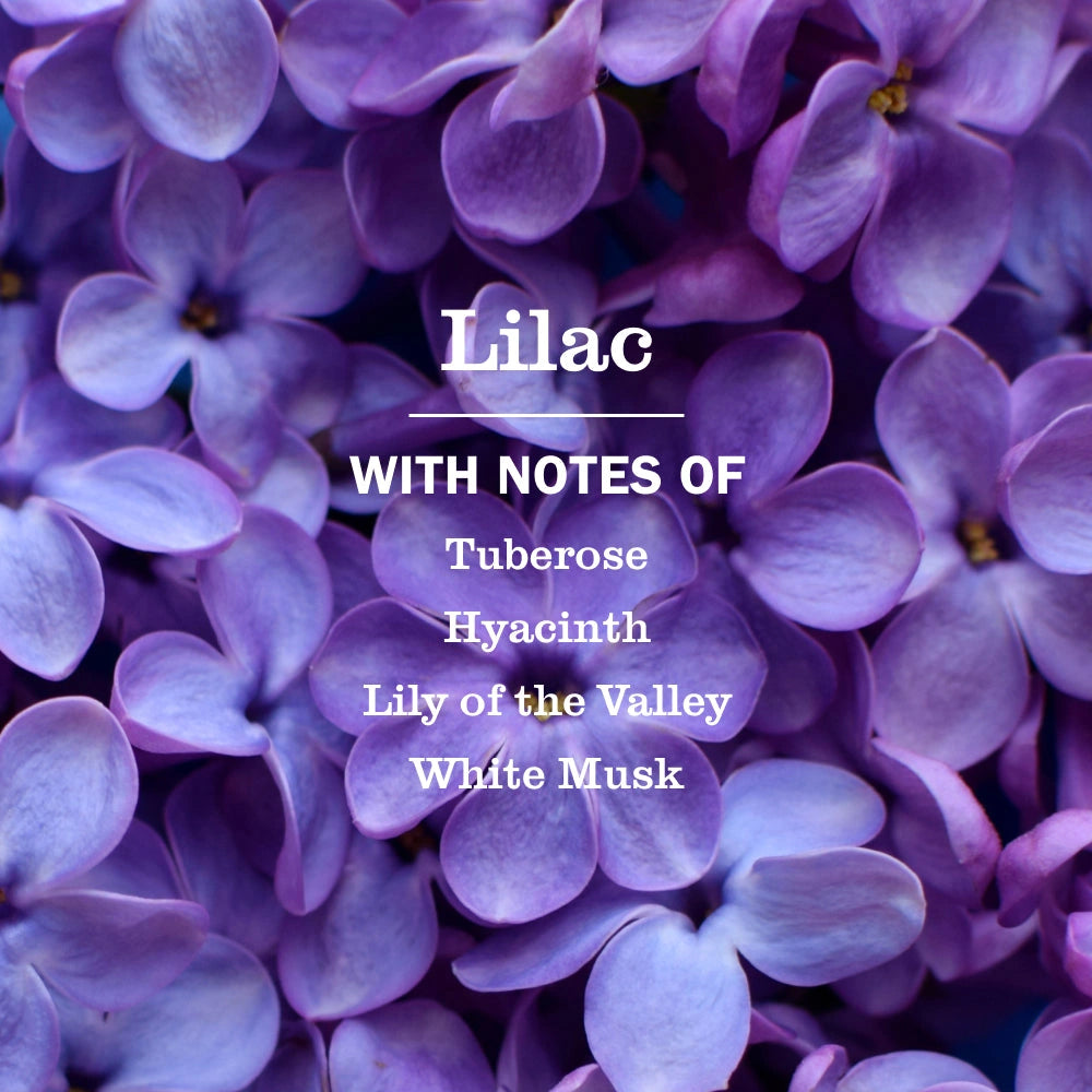 Multi-Surface Cleaner - Lilac