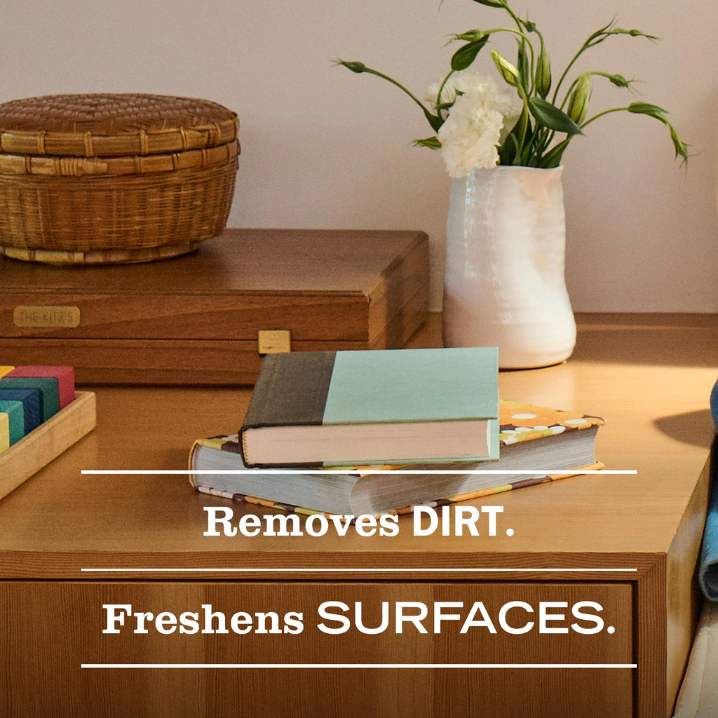 Multi-Surface Cleaner Spray - Rain Water