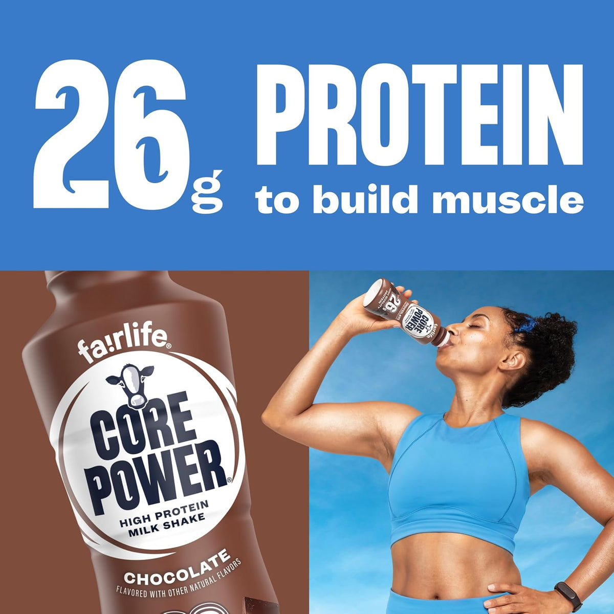 Chocolate Protein Milk Shake, 14 oz, 12 Pack