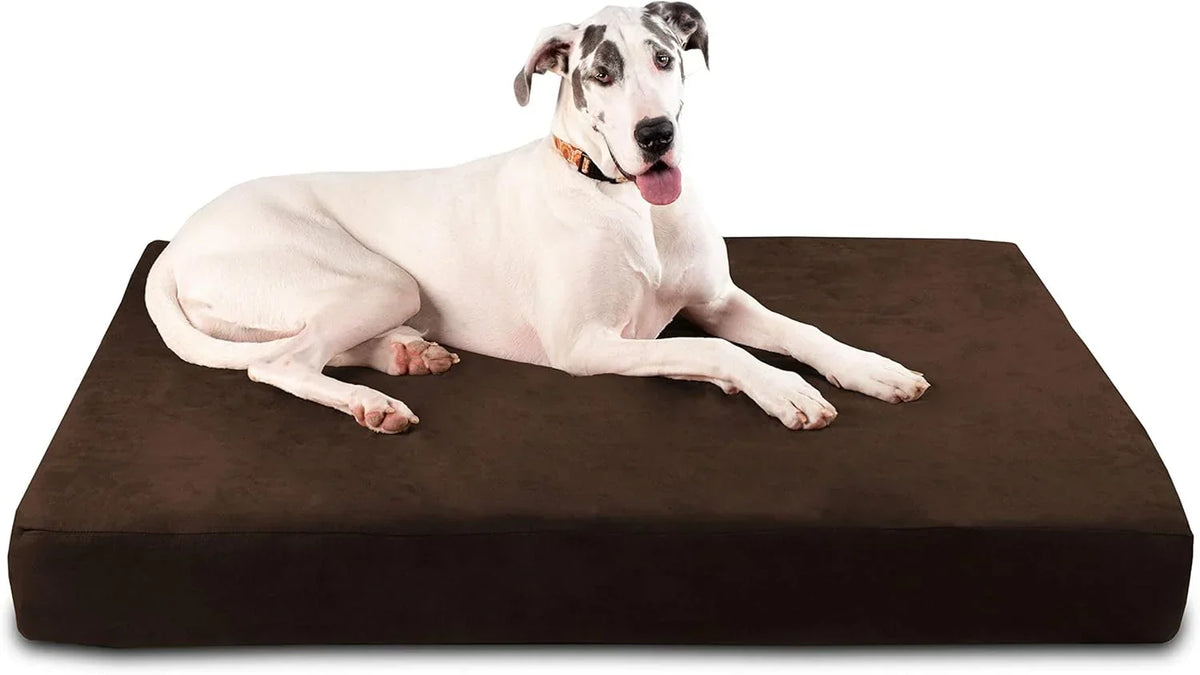 Big Barker Orthopedic Dog Bed, Extra Large, 52in L x 36in W x 7in Th - MicroSuede Cover