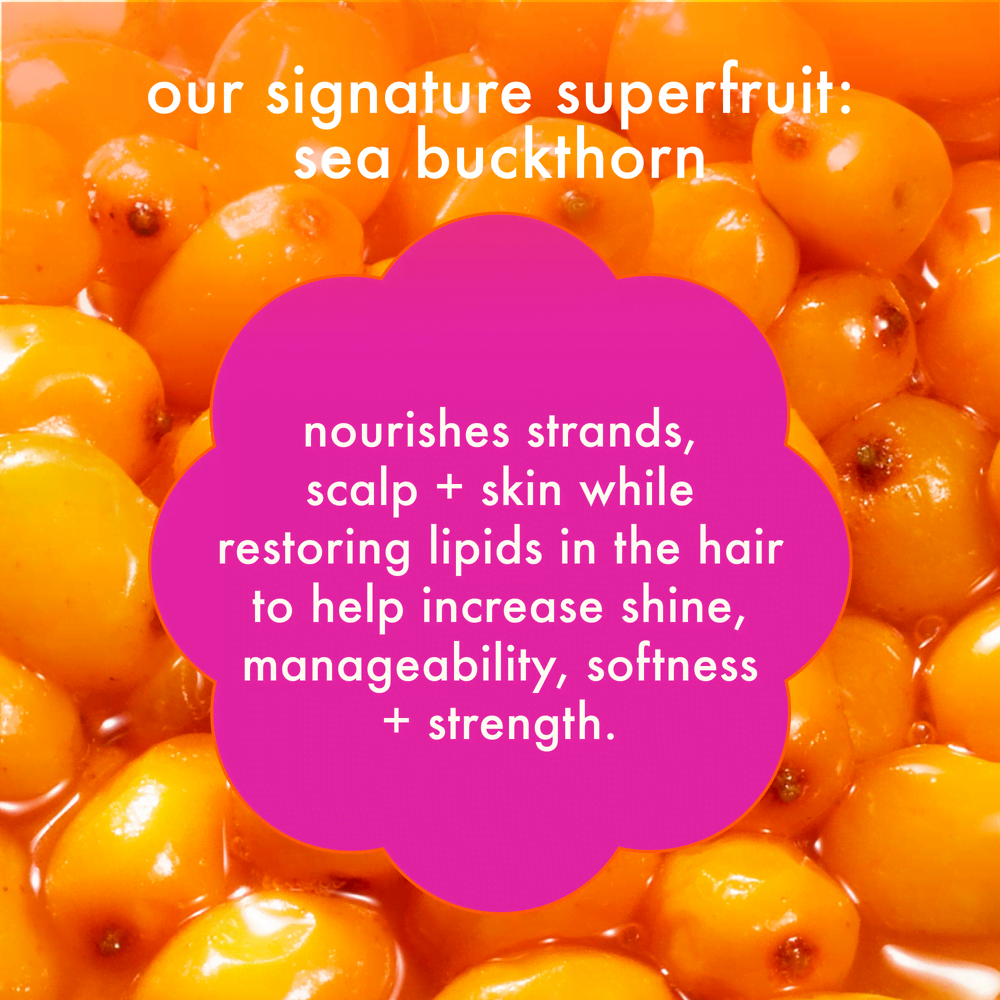 Hydrating Hair Care Trial Set