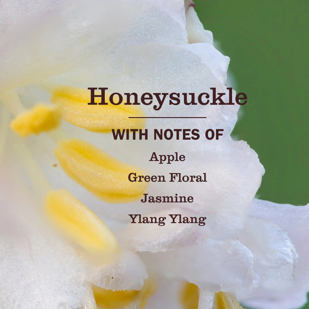 Liquid Hand Soap - Honeysuckle