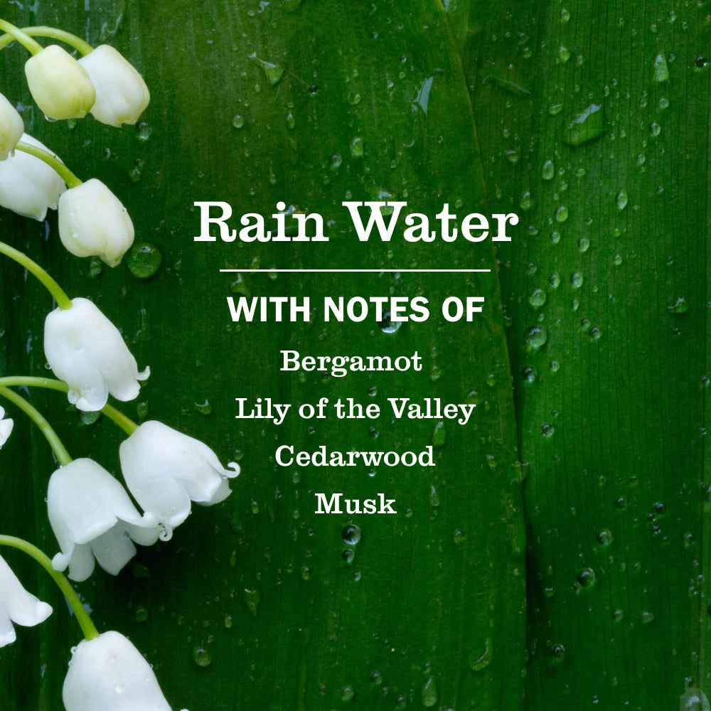 Liquid Laundry Detergent - Rain Water