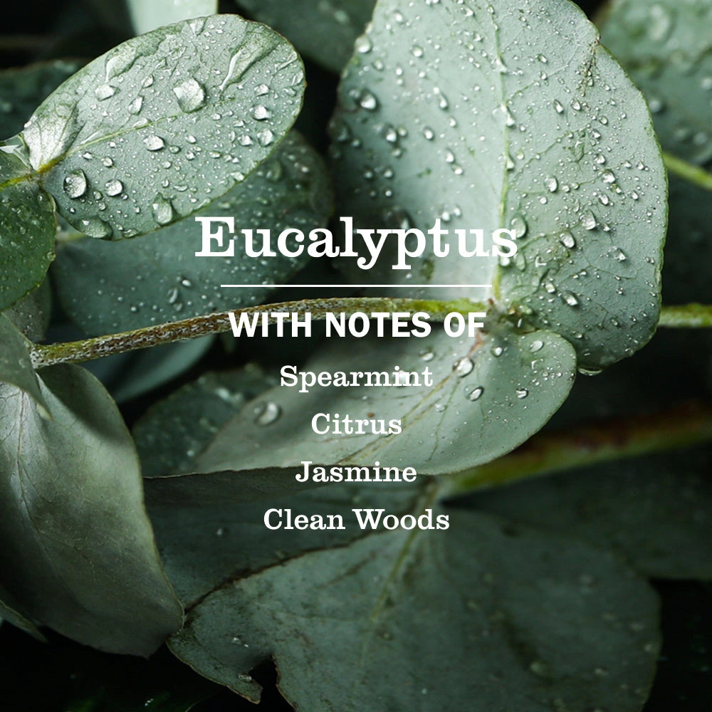 Multi-Surface Cleaner Spray - Eucalyptus