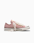 Women's Lace Canvas Low Top Sneaker