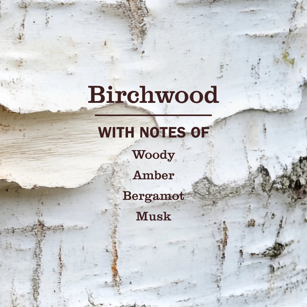 Liquid Hand Soap & Refill Set - Birchwood
