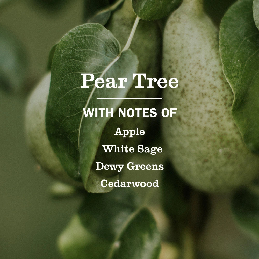 Multi-Surface Cleaner - Pear Tree