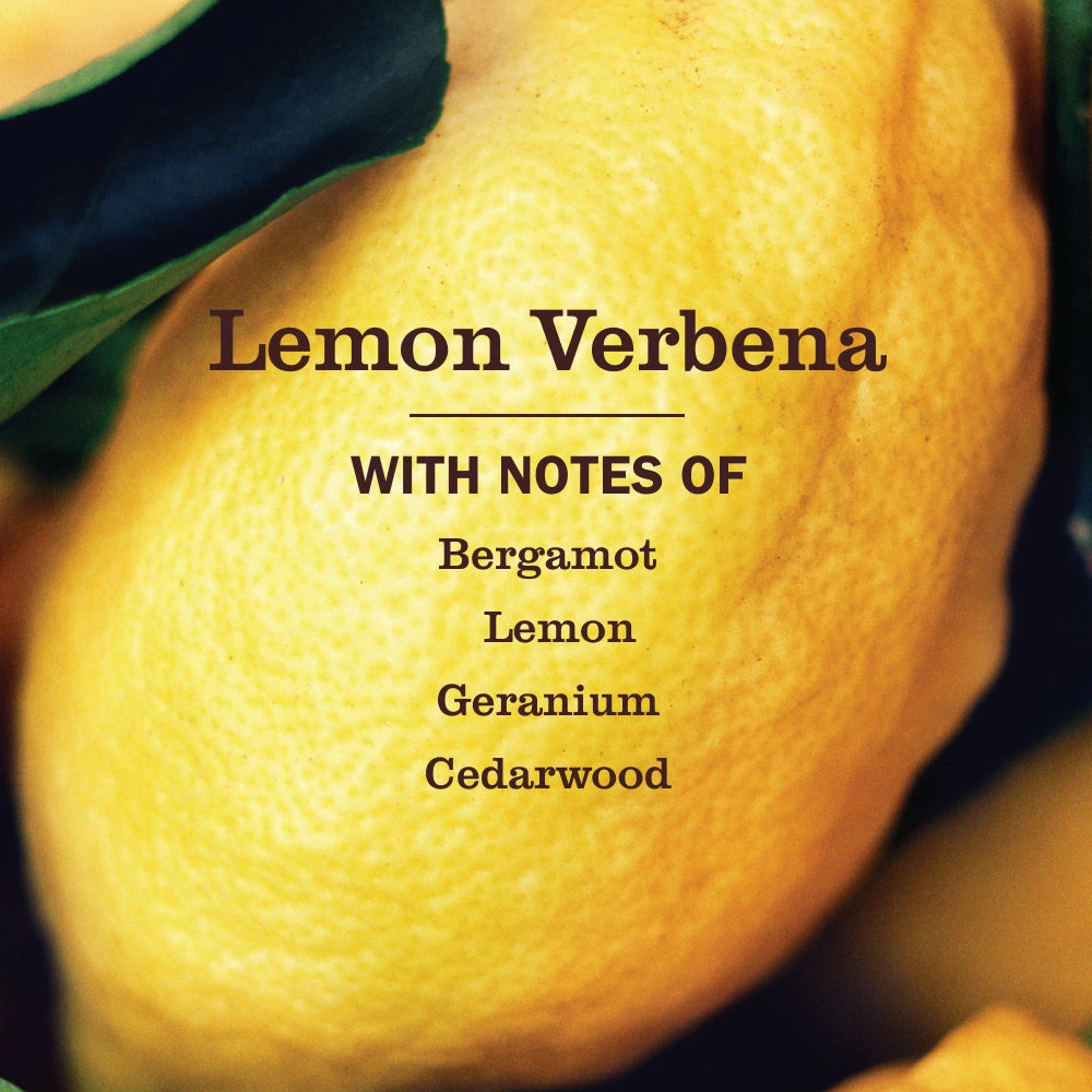 Liquid Dish Soap Refill - Lemon Verbena